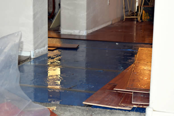 Professional Burst Pipe Water Damage technician working in Groveport, OH